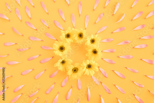 Flowers composition oh pastel pink and yellow background with spring and summ...
