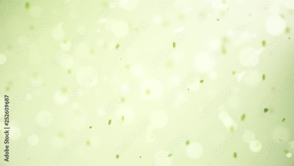 spring in the air, slow motion spring background with leaves bokeh and petals spring in the air, slow motion spring background with leaves bokeh and petals