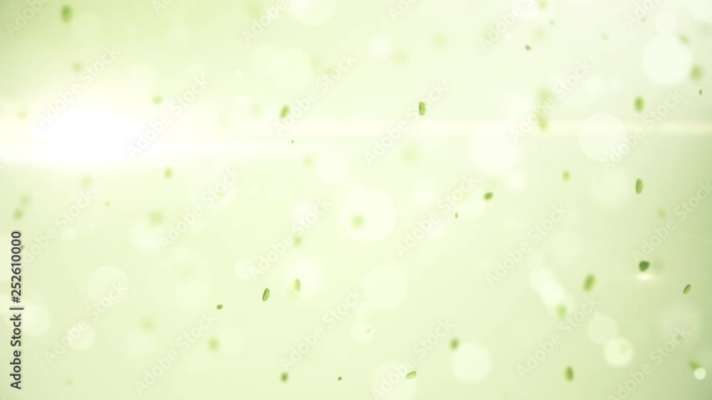 spring in the air, slow motion spring background with leaves bokeh and petals spring in the air, slow motion spring background with leaves bokeh and petals
