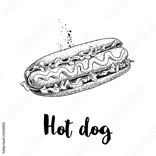 Hot dog sketch hand drawn. Fast food retro illustration. Fresh bun with grilled sausage and mustard or ketchup and lettuce leaves. Great for menu designs, posters. Isolated on white background.