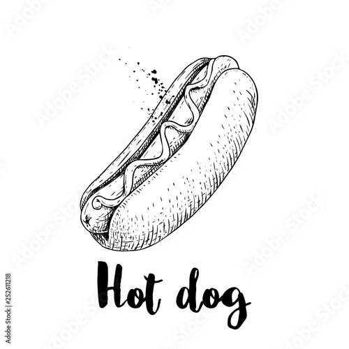 Hot dog sketch hand drawn. Fast food retro illustration. Fresh bun with grilled sausage and mustard or ketchup. Great for menu designs, posters. Isolated on white background.