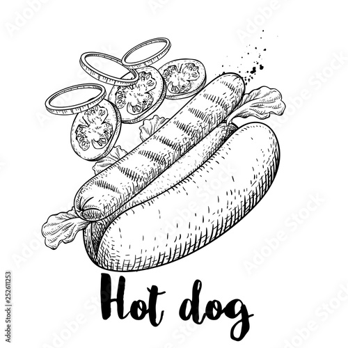 Hot dog with flying ingredients. Hand drawn sketch style fast food illustration. Best for menu designs. Grilled sausage, lettuce leaves, tomato and onion slices. Retro design.