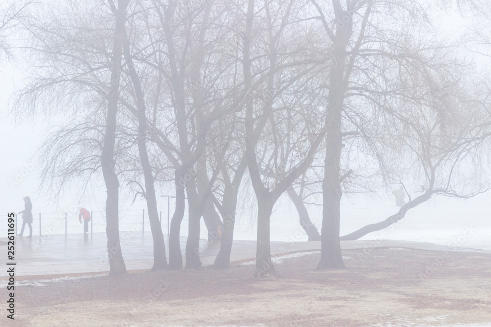 People on an empty spring beach on a river bank among trees. Foggy People on an empty spring beach on a river bank among trees. Foggy