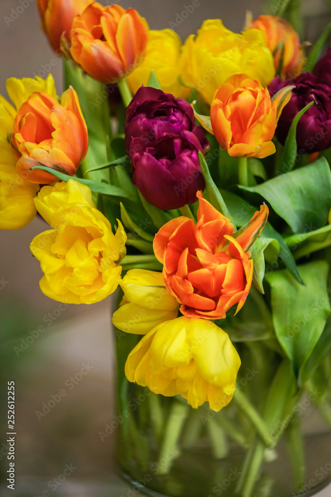 bouquet of colorful tulips in a vase bouquet of colorful tulips in a vase