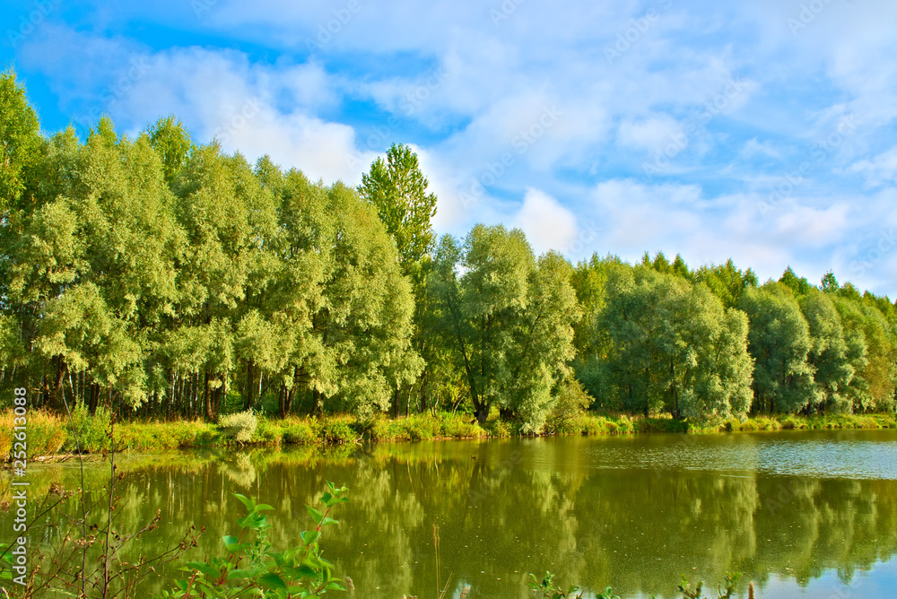 Lake with grove in summer. Kostroma, Russia. Lake with grove in summer. Kostroma, Russia.