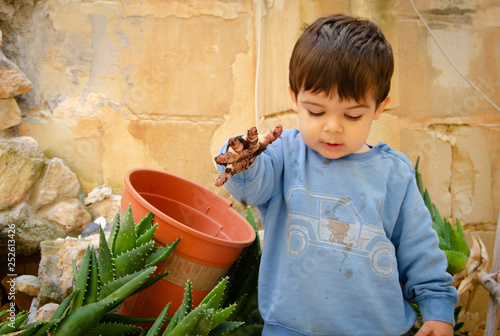 cute two years old baby boy playing with dirth and plants photo