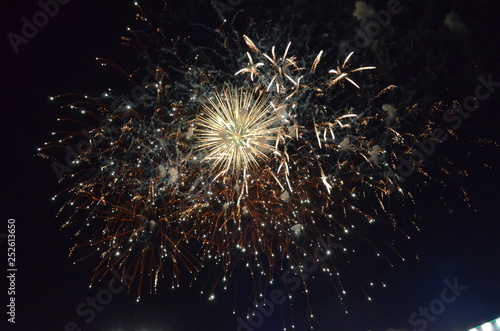 Wallpaper Mural fireworks, night, celebration, light, firework, explosion, abstract, holiday, sky, star, fire, black, celebrate, party, blue, christmas, new, dark, stars, fiber, bright, space, burst, event, festival Torontodigital.ca