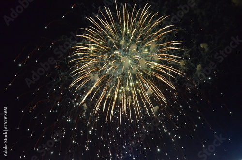 Wallpaper Mural fireworks, night, celebration, light, firework, explosion, abstract, holiday, sky, star, fire, black, celebrate, party, blue, christmas, new, dark, stars, fiber, bright, space, burst, event, festival Torontodigital.ca