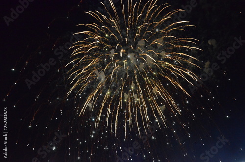 Wallpaper Mural fireworks, night, celebration, light, firework, explosion, abstract, holiday, sky, star, fire, black, celebrate, party, blue, christmas, new, dark, stars, fiber, bright, space, burst, event, festival Torontodigital.ca