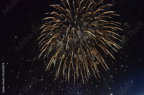 Wallpaper Mural fireworks, night, celebration, light, firework, explosion, abstract, holiday, sky, star, fire, black, celebrate, party, blue, christmas, new, dark, stars, fiber, bright, space, burst, event, festival Torontodigital.ca