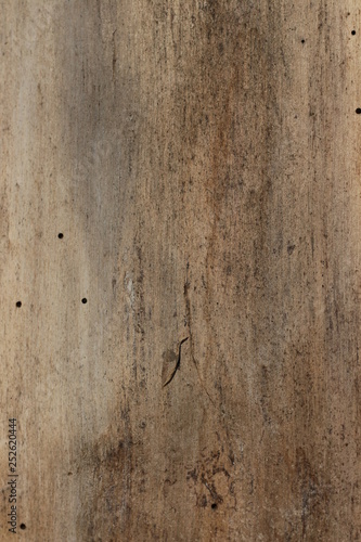 wooden texture background