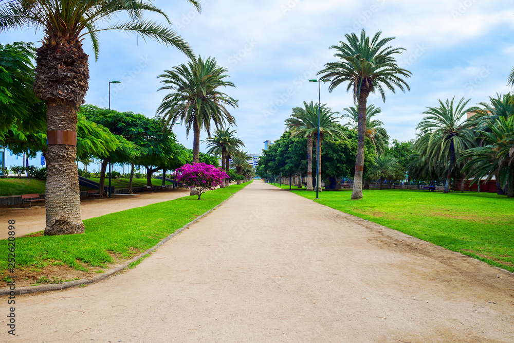 Park with beautiful palm trees and trees. Spain. Gran Canaria. Places to relax. Nature.