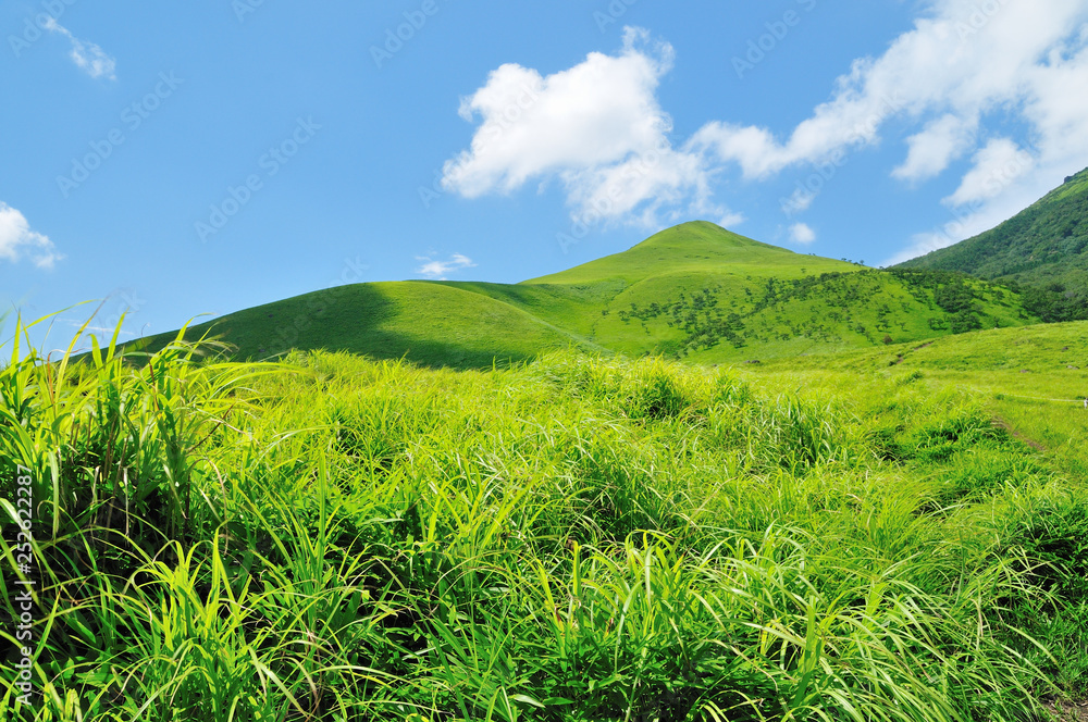 緑の草原と山