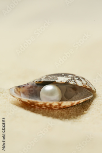  Organic pearl in a shell.