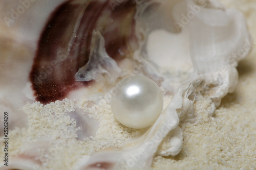 Obraz na płótnie Organic pearl in a shell.