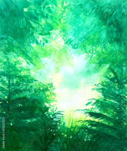 green forest abstract grunge background