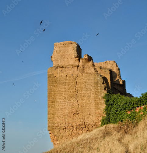 Ruined Muslim Castle in Valderas, Leon, Tierra de Campos, Castile and Leon photo