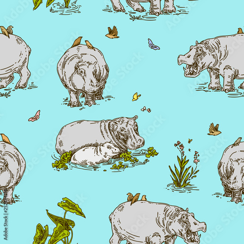 Beautiful color seamless pattern. Hippopotamus and birds. Engraving style. Vector illustration.