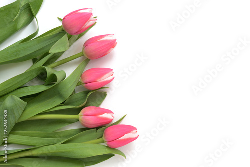Fototapeta Naklejka Na Ścianę i Meble -  Beautiful pink tulips on white background close up