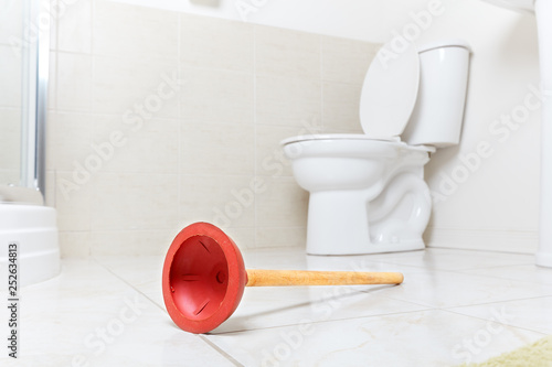 Картината върху платно Toilet water closet plunger