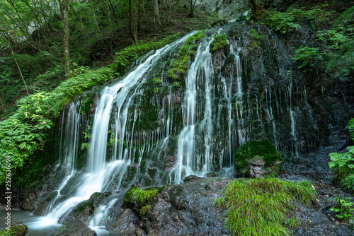 叶山　白水の滝