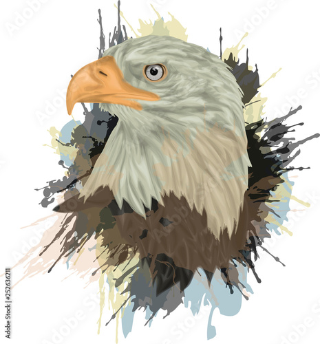 Portrait Bald eagle - Bald eagle hand drawn vector illustration