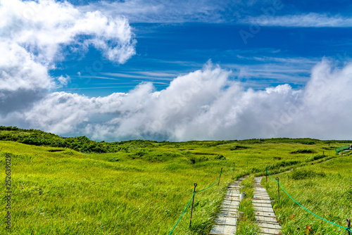 月山　弥陀ヶ原