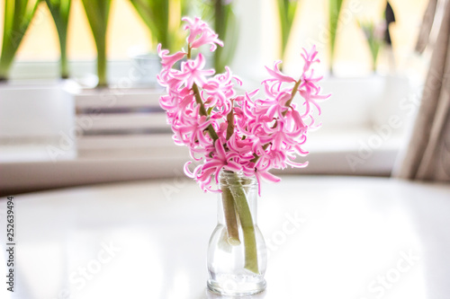 bouquet of flowers hyacinths  in a vase on the table