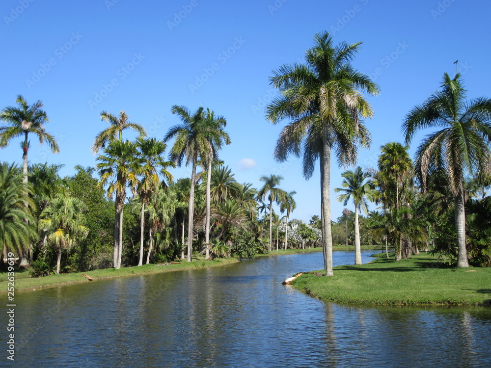 Fairchild Botanical Gardens in Miami