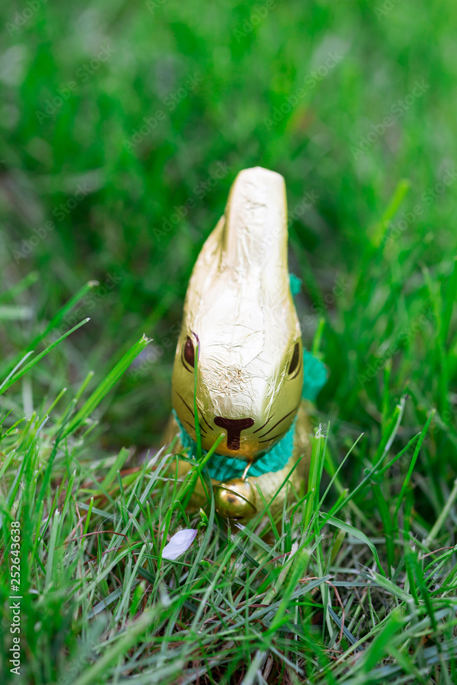 Lapin en chocolat Lapin en chocolat