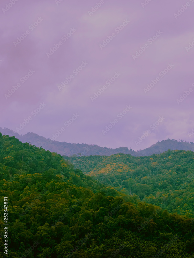 Fototapeta premium Travel and landscape in summer concept from panorama view of tropical forest with layer of mountain and cloudy background