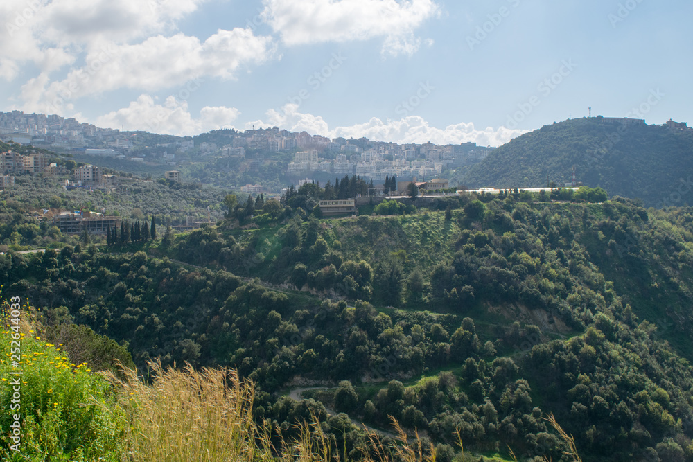 Naklejka premium Libanon