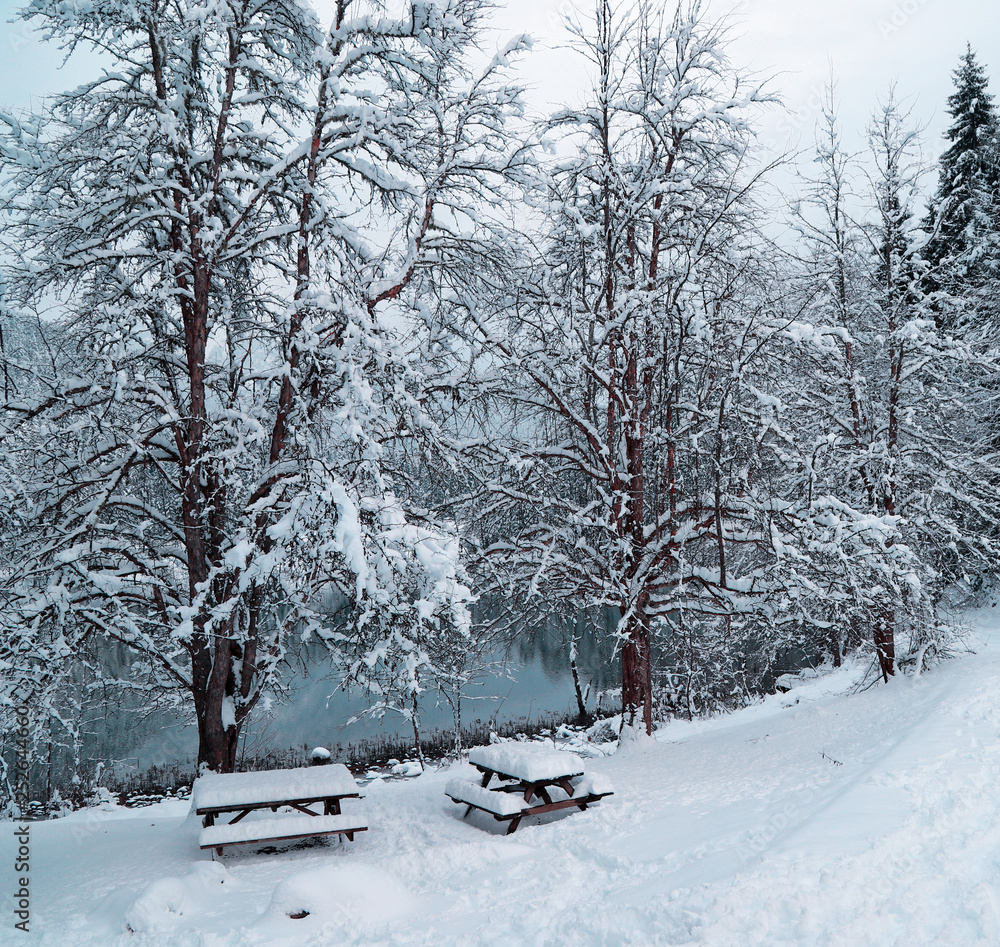 Fototapeta premium gorgeous winter photos.savsat/artvin/turkey