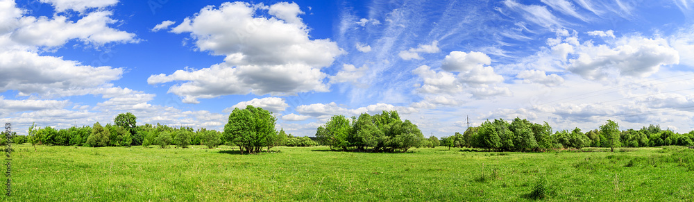 green field with trees and blue sky with clouds Sunny day, beautiful rural landscape, panoramic banner
