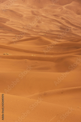 The beauty of the sand dunes in the Sahara Desert in Morocco. © MAGNIFIER