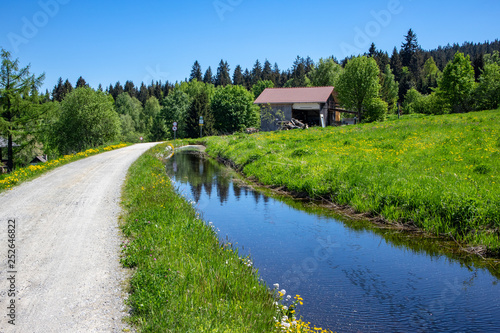 Wallpaper Mural View from the Canal"Schwarzenberger Schwemmkanal" where wood was transported in the past with green meadows in the blue sky Torontodigital.ca