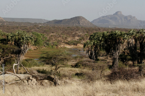 Kenya: Oasis in the desert of Samburu National Park at Ngoro river photo