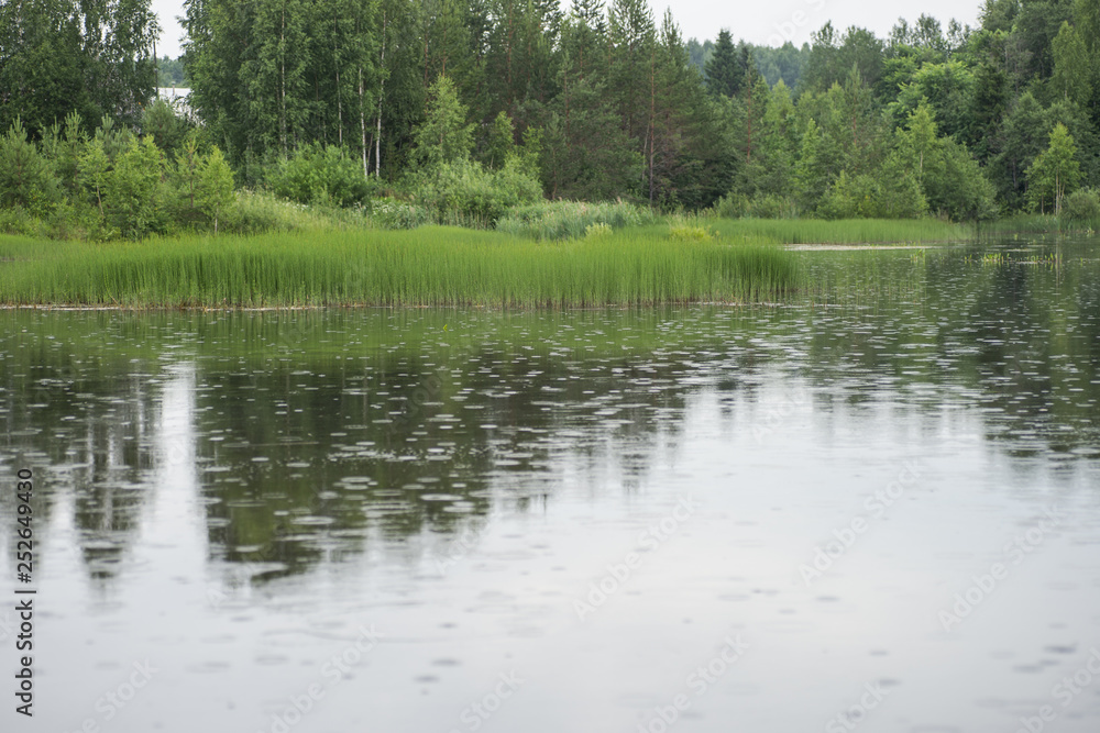 Rainy day on the lake in the forest.