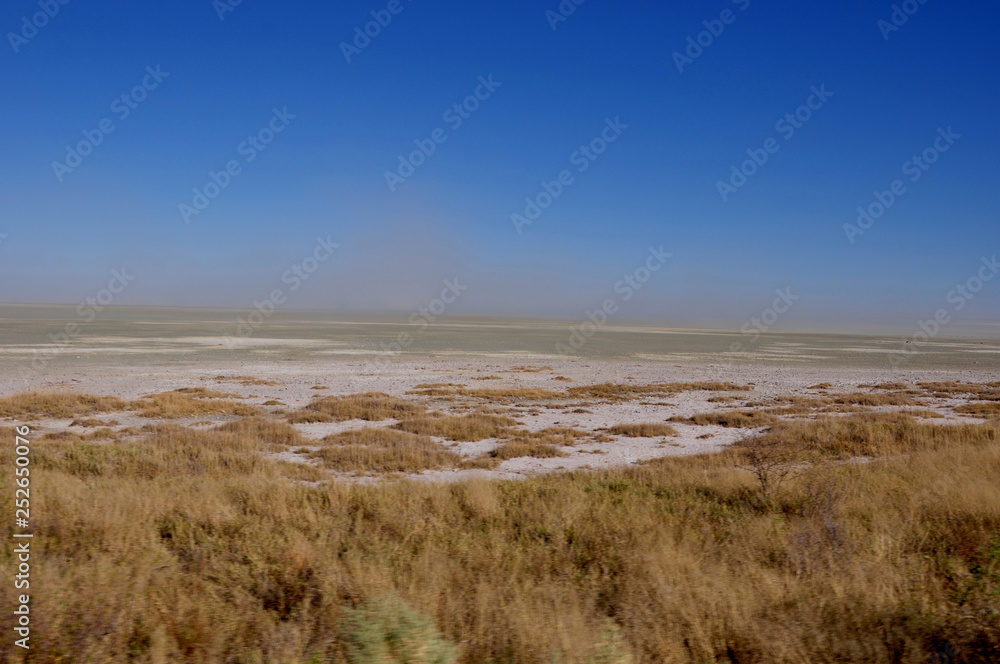 The Etosha-saltpan in the National Park in Namibia