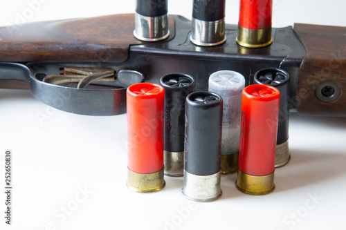 Canvas Print hunting rifle and ammunition