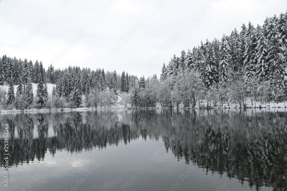 gorgeous winter photos.savsat/artvin/turkey