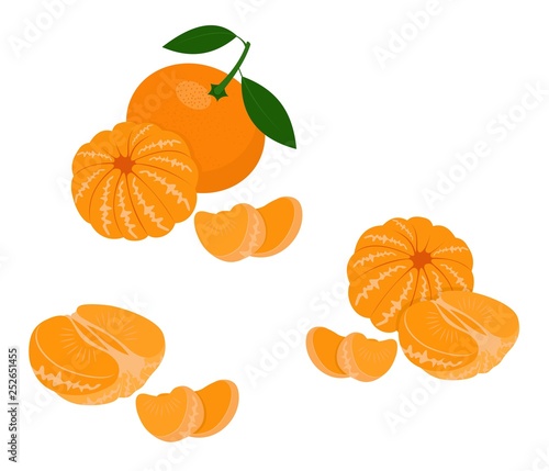 Mandarin, tangerine, clementine with leaves isolated on white background. Citrus fruit. Raster Illustration photo