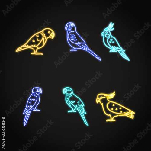 Parrot icons set in glowing neon style