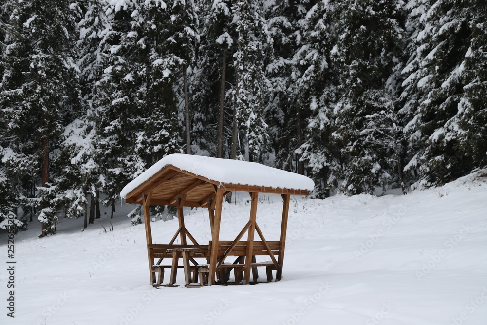 gorgeous winter photos.savsat/artvin/turkey