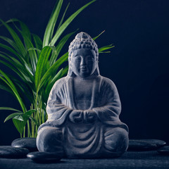 Rollo Buddha Buddha Statue mit Zen Steinen  © Elena Schweitzer