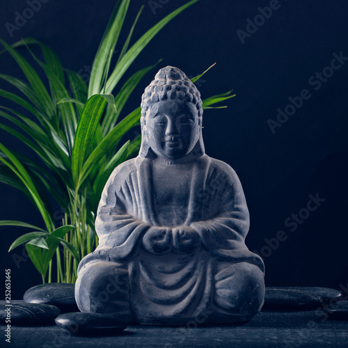 Fotografia Buddha statue and stones