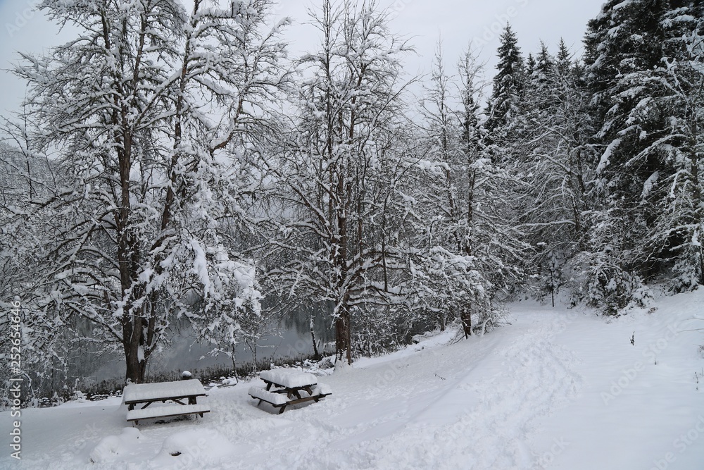 gorgeous winter photos.savsat/artvin/turkey gorgeous winter photos.savsat/artvin/turkey