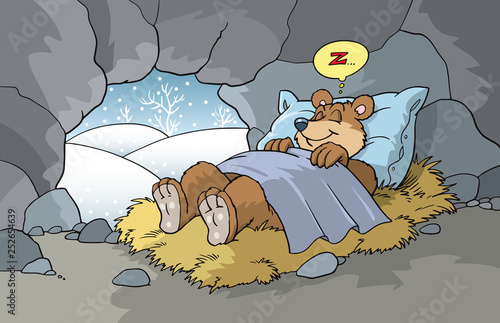 Bear in hibernation