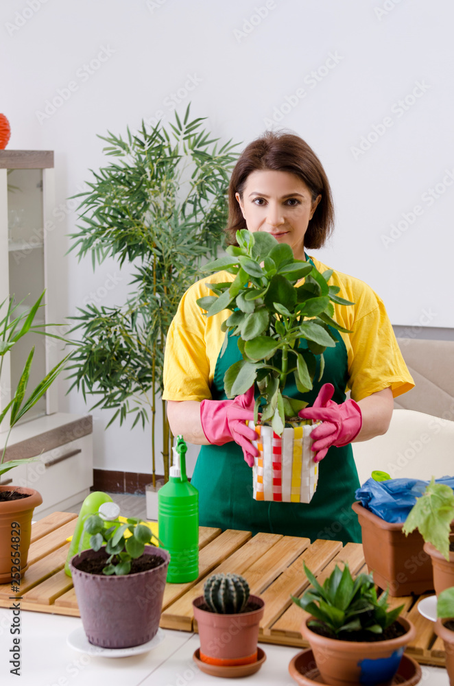 Female gardener with plants indoors Female gardener with plants indoors