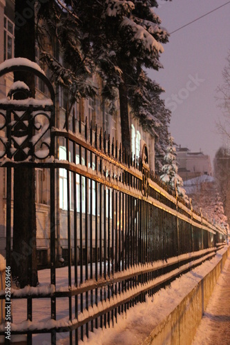 Winter fence